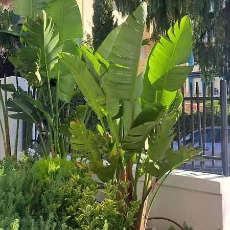 Résidence Carlton - Rénovée Avec Piscine Appart hôtel 4*